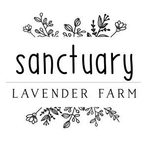 Sanctuary Soy Candle Collection