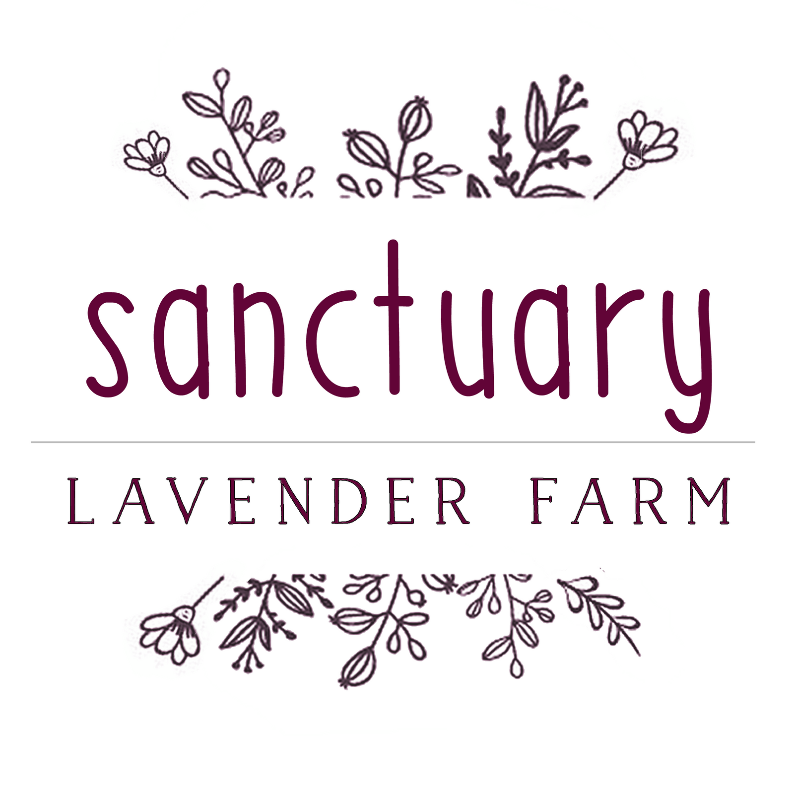 Sanctuary Soap