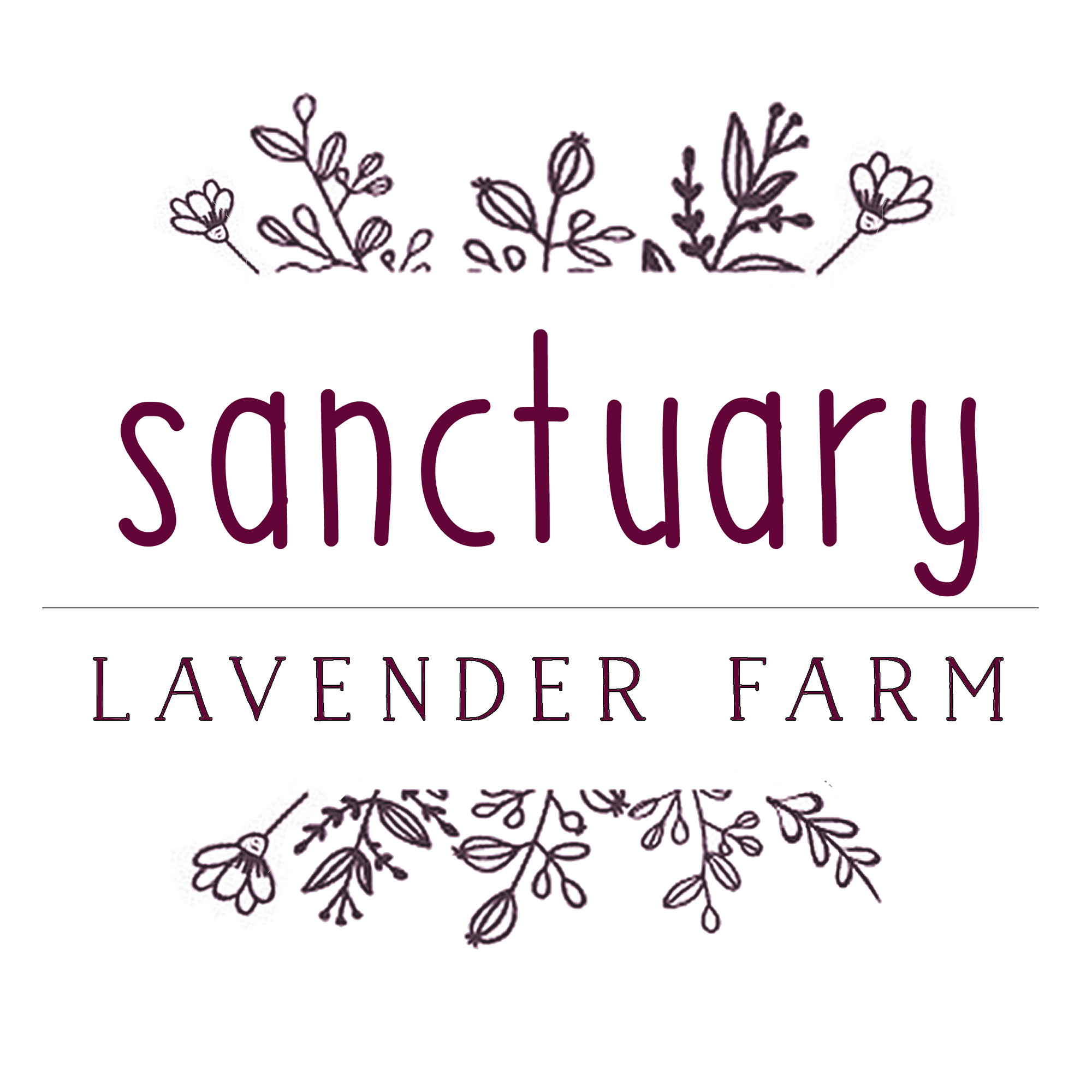 Sanctuary Soap