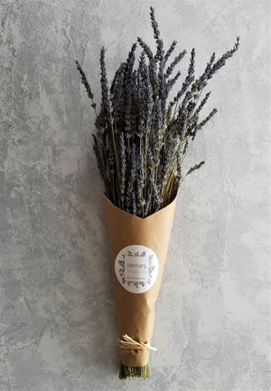 French Lavender Bunch Wrapped